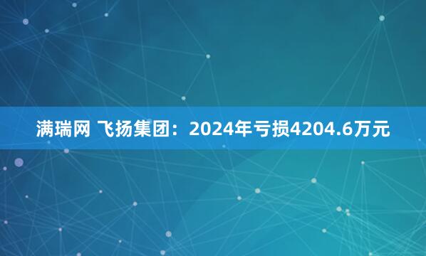 满瑞网 飞扬集团：2024年亏损4204.6万元