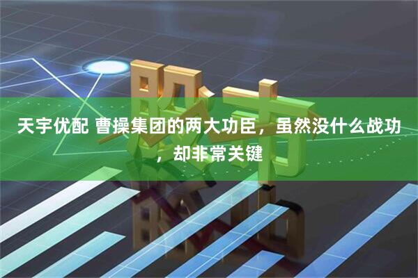 天宇优配 曹操集团的两大功臣，虽然没什么战功，却非常关键